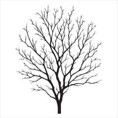 a naked tree branches vector silhouette black color illustration