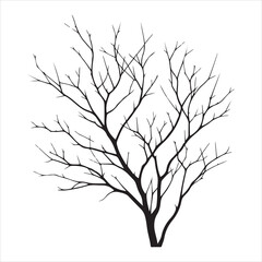 a naked tree branches vector silhouette black color illustration