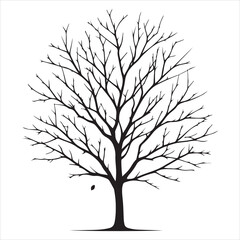 Obraz premium a naked tree branches vector silhouette black color illustration