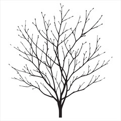 a naked tree branches vector silhouette black color illustration