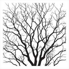 a naked tree branches vector silhouette black color illustration