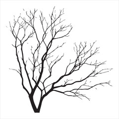 a naked tree branches vector silhouette black color illustration