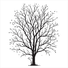 Obraz premium a naked tree branches vector silhouette black color illustration