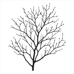 a naked tree branches vector silhouette black color illustration