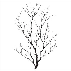 a naked tree branches vector silhouette black color illustration