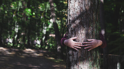 Closeup hands hugging a tree in forest, Nature conservation, environmental nature protection. Save the world and love plant concept. Earth day. 