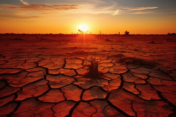 A severe heatwave leads to fatalities and puts immense strain on energy and water resources. - obrazy, fototapety, plakaty