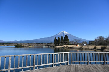 静岡県の朝霧高原にある田貫湖のテラスからの冬景色の富士山の眺め