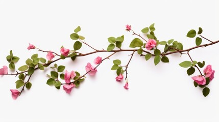 Green vine plant with dried pink flowers isolated on white background isolated on white background,. Created using Generative AI Technology