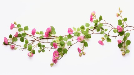 Green vine plant with dried pink flowers isolated on white background isolated on white background,. Created using Generative AI Technology - obrazy, fototapety, plakaty