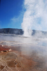Mammoth Hot Springs in Yellowstone National Park, Wyoming Montana. Great hiking. Summer wonderland to watch wildlife and natural landscape. Geothermal.