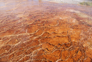 Mammoth Hot Springs in Yellowstone National Park, Wyoming Montana. Great hiking. Summer wonderland to watch wildlife and natural landscape. Geothermal.
