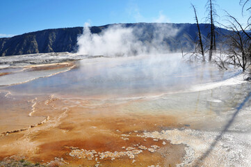 Mammoth Hot Springs in Yellowstone National Park, Wyoming Montana. Great hiking. Summer wonderland to watch wildlife and natural landscape. Geothermal.