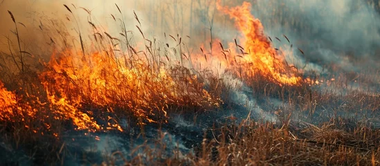Foto op Canvas Wild fire burning dried grass on field during the day. Smoking and emitting flame, smoke, and ash. Ecological disaster impacting the environment, contributing to climate change and ecological © 2rogan