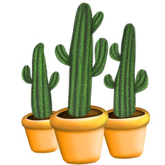 Cactus in pot