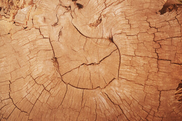 wood texture background surface with old natural pattern