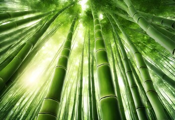Lush green bamboo forest with sunlight filtering through tall stalks, creating a tranquil and...