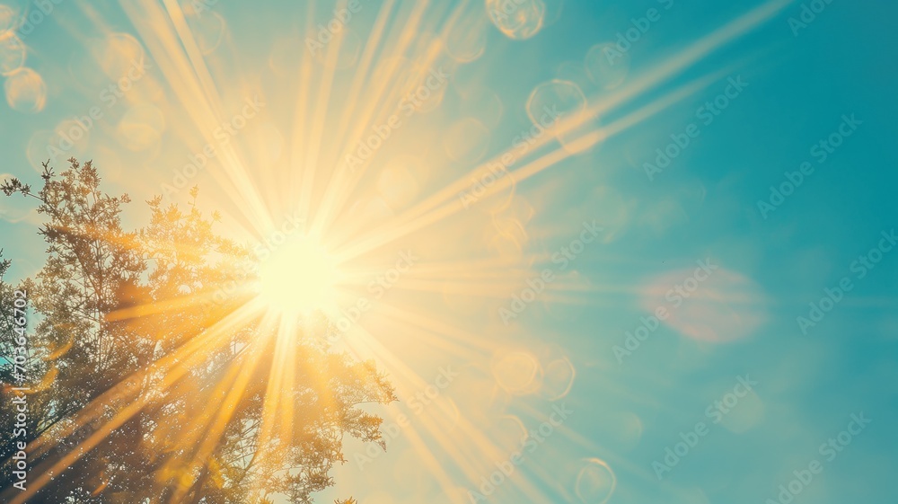 Wall mural sun shining through treetops with lens flare