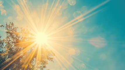 Sun shining through treetops with lens flare - Powered by Adobe