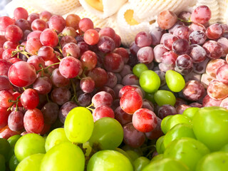 Bunch of grapes. Healthy fruits Red wine grapes