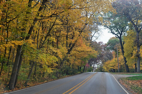 Country road splicing through a wooded area showing its full fall color. The rural scene is from a stretch of road in northeastern Illinois.