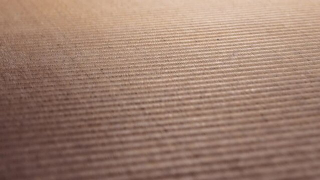 Traditional Japanese tatami mat flooring, detailed texture background. Slow motion. 