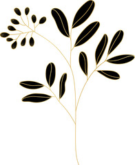 Gold Floral Plant Line Art Illustration