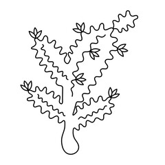 cactus contour drawing, outline cactus, Vector decorative planting element. 
Nature element illustration. Sketch cactus. Floral succulent plant. 
