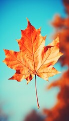4K colorful leaf AMOLED wallpaper Created with generative Ai	
