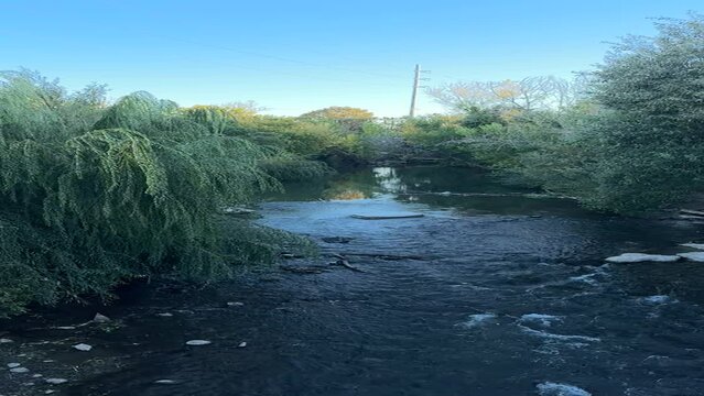 trash in river in park of downtown city