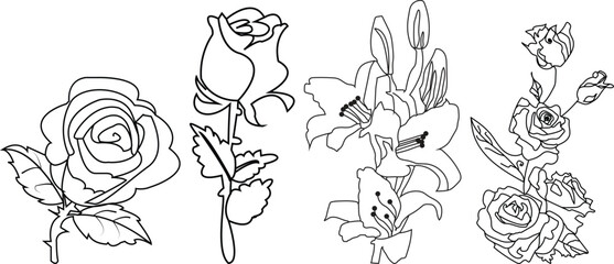 Botanical floral sets with rose, leaf and more vector drawing illustration.