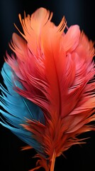 Feather aesthetic color pattern background