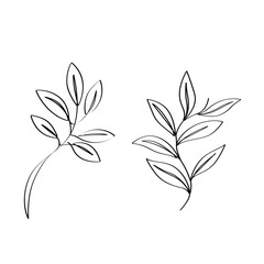 Single-line art leaves minimalist artwork