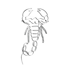 Single-line art of scorpion elegant minimalist artwork