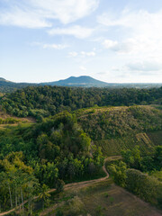 Aerial view of mountains and tropical forests are rich and beautiful..