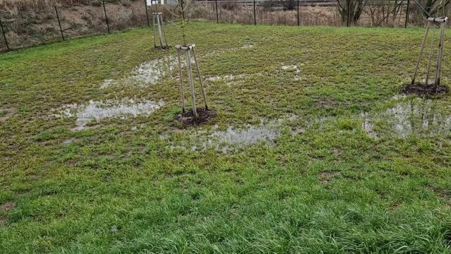 waterlogged soil in the park does not receive water from the spring rain. poorly executed drainage or cracked automatic irrigation pipeline created a flood, a road accident near the road