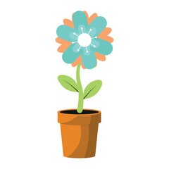 Flowers and Pots