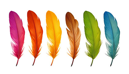 colorful feathers isolated on transparent background cutout