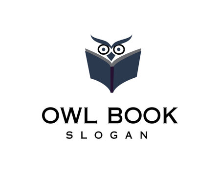  owl book creative logo design template