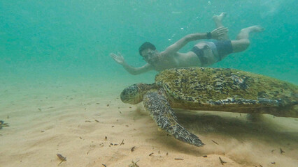 young man with wild turtle in Sri Lanka