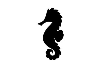 Fototapeta premium Seahorse