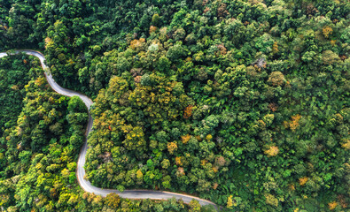 Aerial view of a road in the middle of the forest , road curve construction up to mountain, Autumn Tones of Aerial top view forest tree