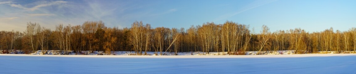 Panoramic view of a deciduous forest on the banks of a frozen river