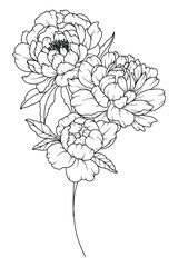 Peony Line Drawing. Black and white Floral Bouquets. Flower Coloring Page. Floral Line Art. Fine Line Peony illustration. Hand Drawn flowers. Botanical Coloring. Wedding invitation flowers