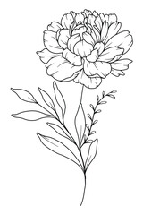 Peony Line Drawing. Black and white Floral Bouquets. Flower Coloring Page. Floral Line Art. Fine Line Peony illustration. Hand Drawn flowers. Botanical Coloring. Wedding invitation flowers