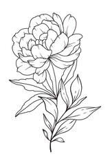 Peony Line Drawing. Black and white Floral Bouquets. Flower Coloring Page. Floral Line Art. Fine Line Peony illustration. Hand Drawn flowers. Botanical Coloring. Wedding invitation flowers