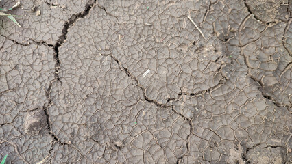 Dry cracked ground surface texture, close up view