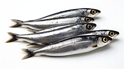 fresh sardine fish - Powered by Adobe