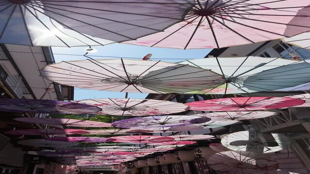 Traditional Japanese Umbrellas