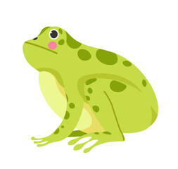 Toad or frog sitting, aquatic creature or reptile